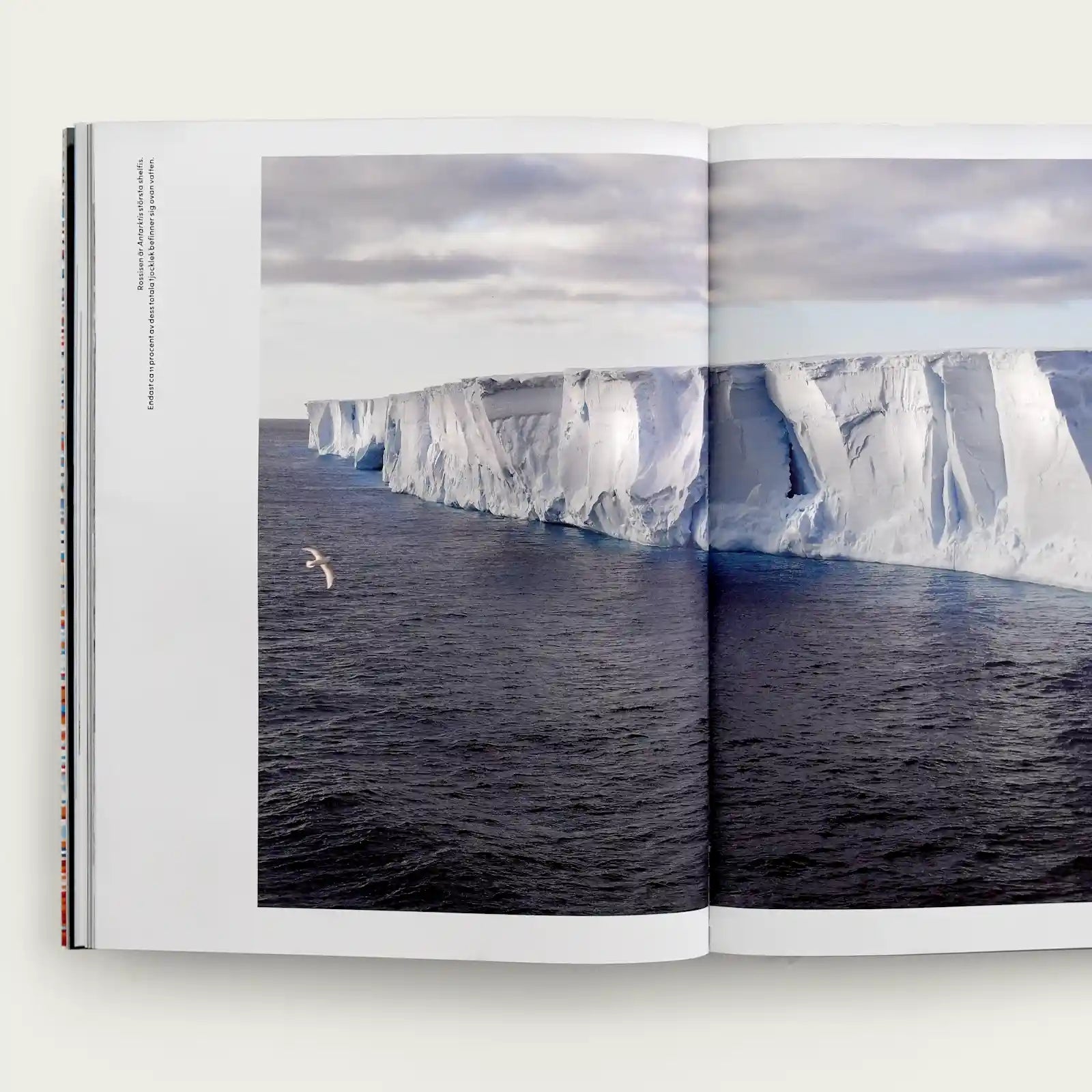 bok-arktiska-spar-natur-och-kultur-i-rorelse