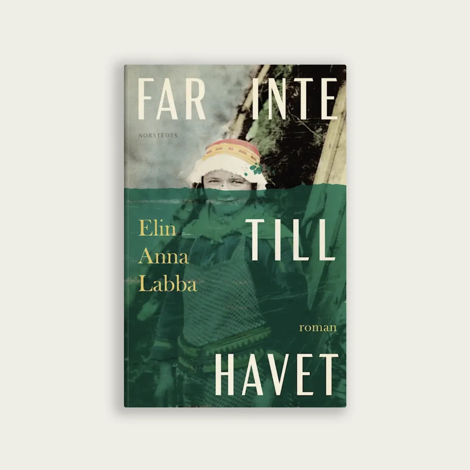 bok-elin-anna-labba-far-inte-till-havet